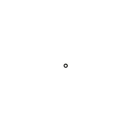 Anello OR Ø 4,47x1,78 JJJ005400620 ricambio originale Baxi