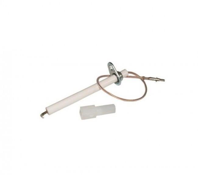 Kit elettrodo rilevazione BI1123102 ricambio originale Savio Biasi