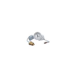 Termoidrometro Ø 43 0-4 bar 0-120°C BI1555100 ricambio originale Savio Biasi