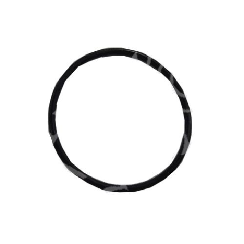 Kit n.20 Oring 48,89x2,62 3016065 ex 10234 originale Immergas
