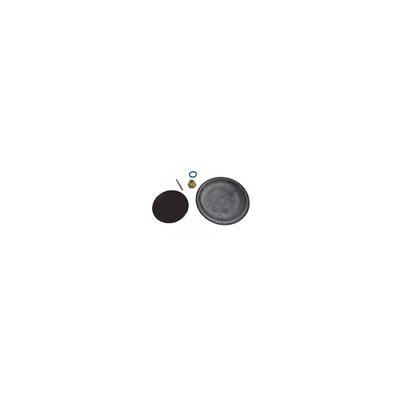 Kit riparazione valvola acqua M20 FF 60081238 ricambio originale Chaffoteaux