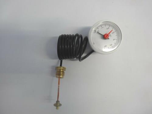 Manometro Cewal Ø 40 0-6 bar attacco 1/4" cap 1000mm 1032363 originale Immergas