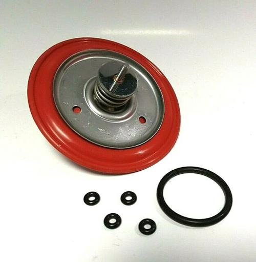 Membrana completa con by-pass sanitario 1016225 ricambio originale Immergas