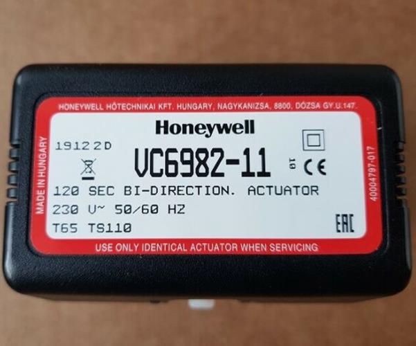 Motore modulo bassa temperatura VC6982-11 1014286 ricambio originale Immergas