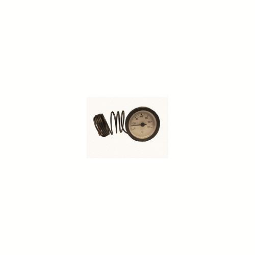 Termoidrometro 4048506 ricambio originale Riello