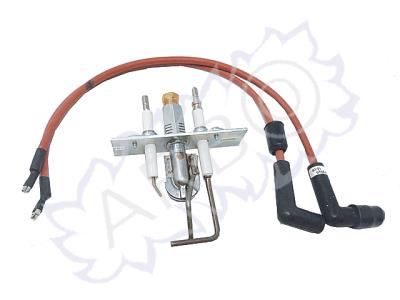 Gruppo pilota G20 BI1312106 ricambio originale Savio Biasi