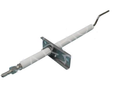 Elettrodo rilevazione 4038755 ricambio originale Riello