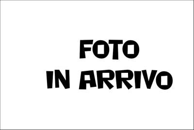 Elettrodo rilevazione cobra P 0004102430 ricambio originale Baltur