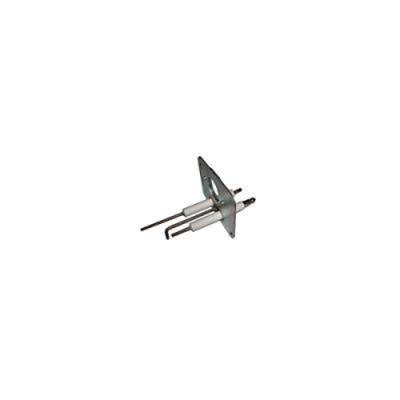 Gruppo elettrodi 2415080 ex 005080 ricambio originale Vaillant
