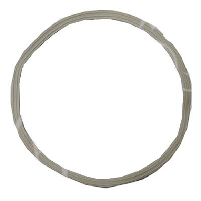 Guarnizione collettore gas modulo Condens Victrix 1038607 originale Immergas