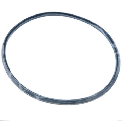 Singola guarnizione coperchio modulo Isother MIC 3031533 originale Immergas