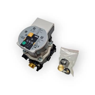 Kit pompa circolatore Para FRSL6-50 ricambio originale Ferroli,Lamborghini, Joan