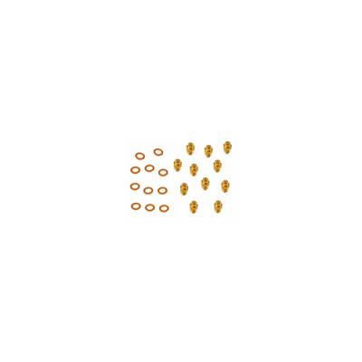 Kit trasformazione GPL Ø 0,80 3012553 12 ugelli ricambio originale Immergas