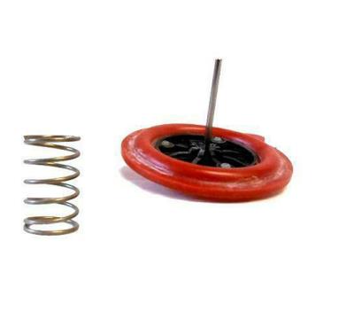 Membrana 111718 ricambio originale Vaillant