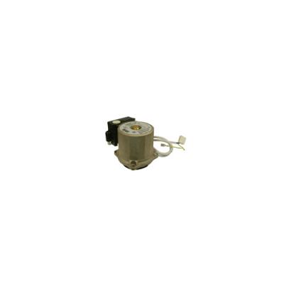 Motore pompa 45w Isofast C28E-A F30E-A S10241 ricambio originale Saunier Duval
