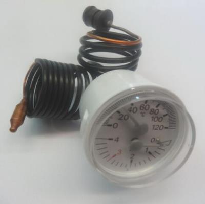 Termoidrometro 4365359 ex 4365238 ricambio originale Riello